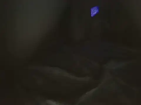Wilmercast35651 webcam show