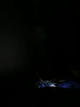 عرض كام badidis1000xr