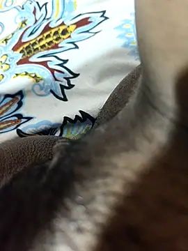 CplAnita 라이브 XXX 채팅