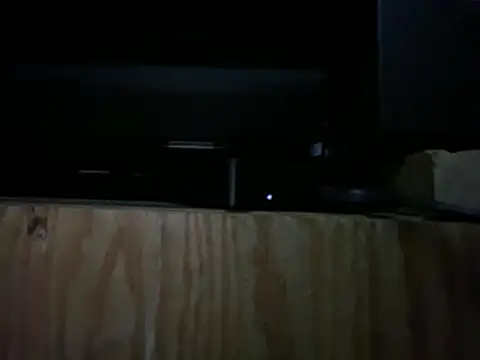 DGrabbin Webcam show