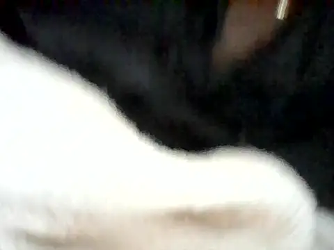 jenifer_zinna Obrolan Langsung XXX