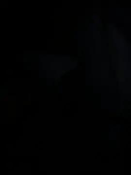Maximo_Julin Webbikameraesitys