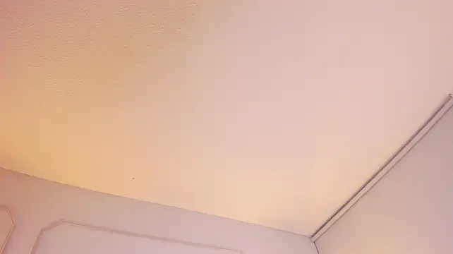 Chat +18 de Dannae_Lux ao vivo
