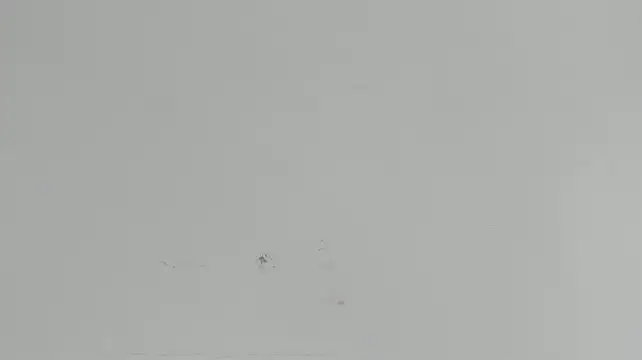 Chat +18 de CocoDream_ ao vivo