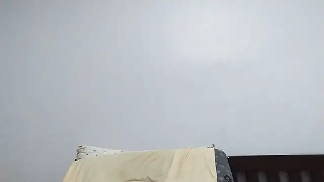 Chatroom XXX en direct de BIGUNCUTHARDCOCK
