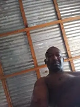 Show Webcam de WiseDi