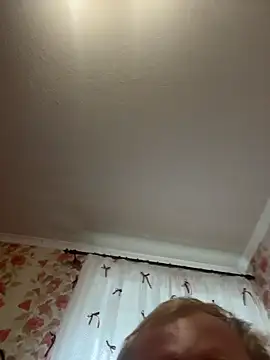 bitsim Webcam-Show