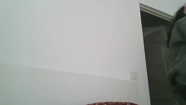 WendyRhoades Chat XXX in diretta