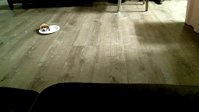 SexyB214: απευθείας συνομιλία ΧΧΧ