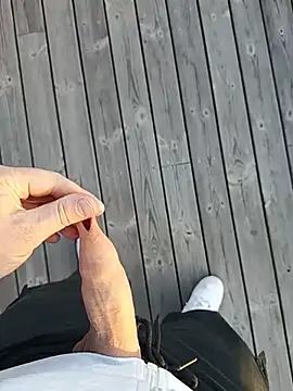 jonas_camboyn Webbikameraesitys