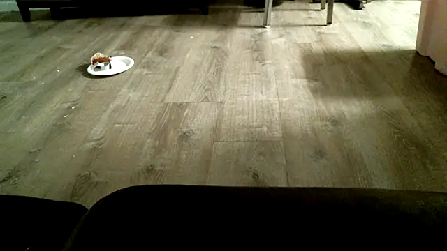 SexyB214 Obrolan Langsung XXX