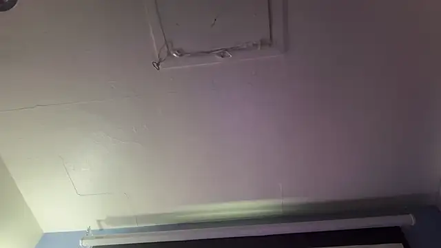 Fr4nk1eFFuxxx 웹캠 쇼