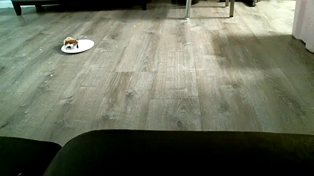 SexyB214 Chat XXX live