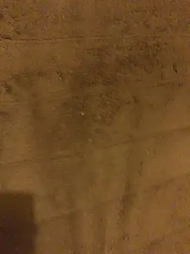omonaka's Live XXX Chat