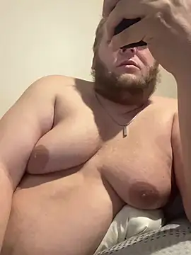 Tallbellybear 现场XXX聊天