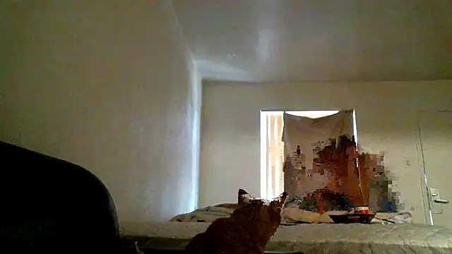 Živý XXX chat SexyB214