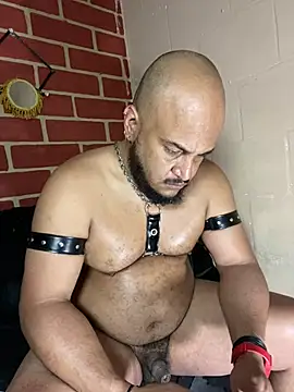 the_master_foal_ 网络视讯表演