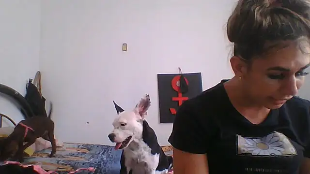 brenda_sofia69 现场XXX聊天