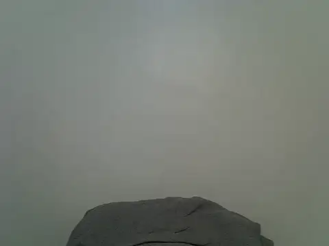 Živý XXX chat Sultryrose