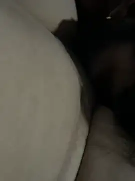MeraaSLn Webbikameraesitys