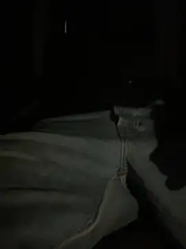Bumbastic6Pack Show Webcam