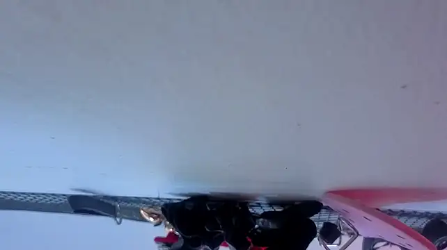 Issafoxx 라이브 XXX 채팅
