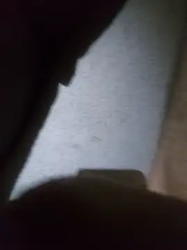 BartekMEN Pertunjukan Webcam