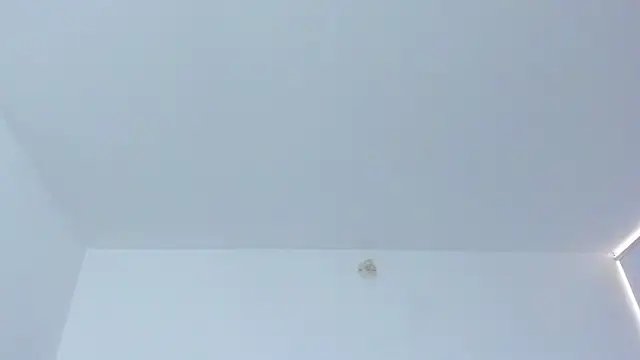 KingLevi01: απευθείας συνομιλία ΧΧΧ