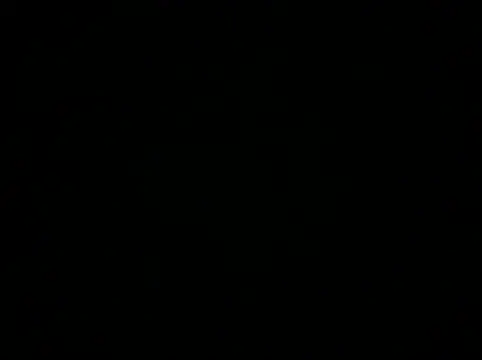 idodpalace webcam show