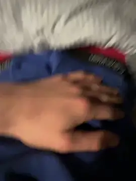 donkeyteam Chat XXX live
