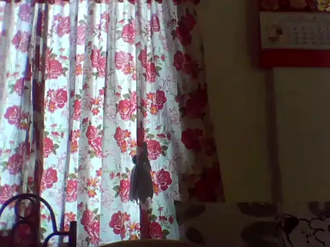asian_seductive1 – Live XXX-chat