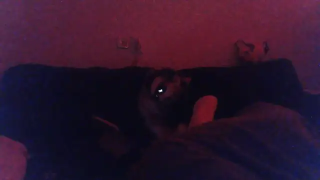 KaelNox Live XXX-chat