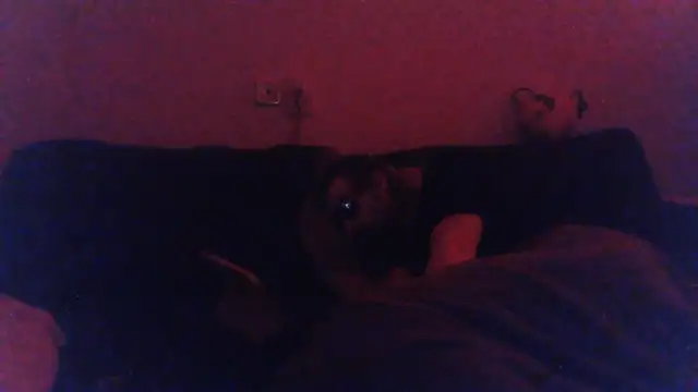KaelNox Live XXX-chat