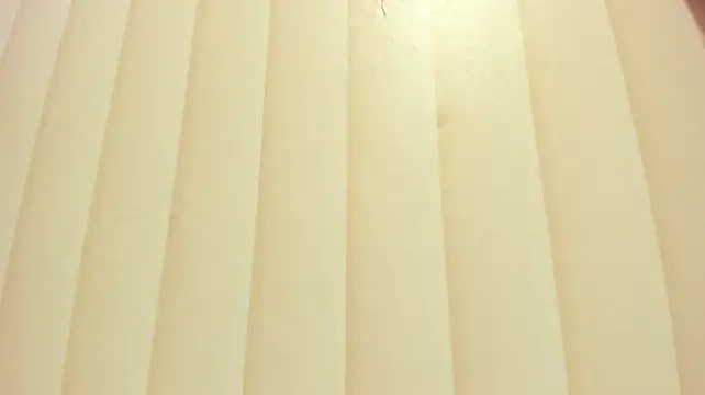 צ'אט XXX בשידור חי של Tiger_skinny