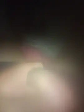 Bruninho20cmgrosson Webbikameraesitys