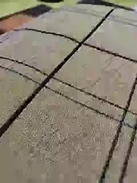 عرض كام hamada369