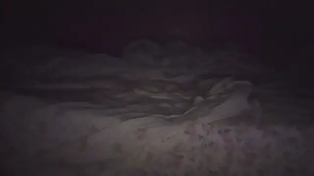 joaopimto0's Live XXX Chat