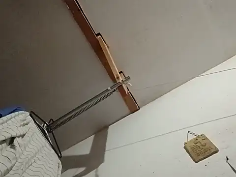 DickNasty6908のライブXXXチャット