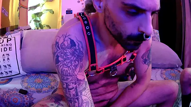 XXX chat uživo modela danix_wild_wolf
