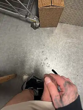 SebandAnt Webcam show