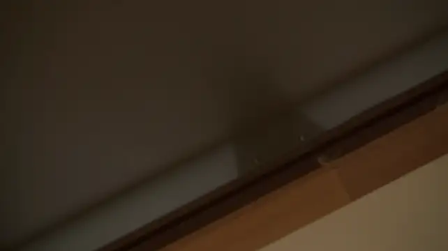 ElinPoston 网络视讯表演