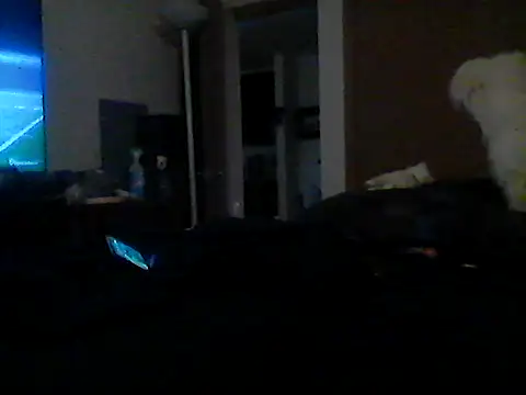 Silencio26's Live XXX Chat