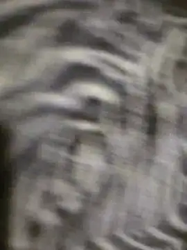 Show de Tigre1993A na webcam