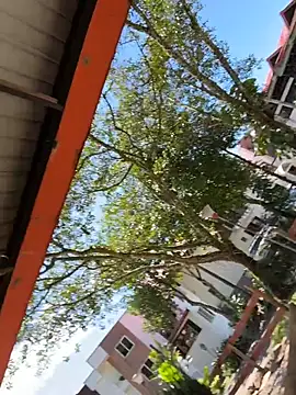 Chat +18 de Ana____ ao vivo
