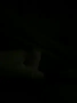 Epapi666n Webbikameraesitys