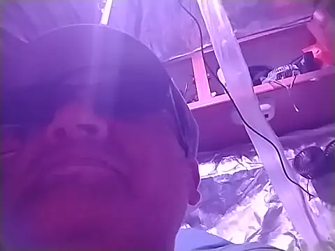 thecoolarrow ওয়েবক্যাম শো