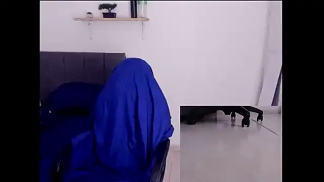 צ'אט XXX בשידור חי של hot_king20