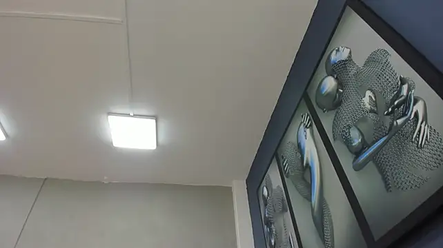 Charlie___Musk Live XXX Chat