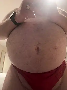 Show modela Owned_drone na web-kameri