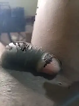 bigdi457 Webcam Show